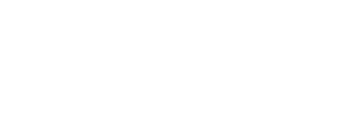 Pronabe, Programa Nacional de Bolsas de Estudos